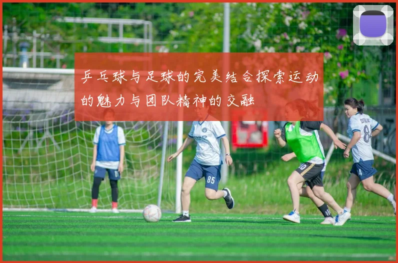 乒乓球与足球的完美结合探索运动的魅力与团队精神的交融