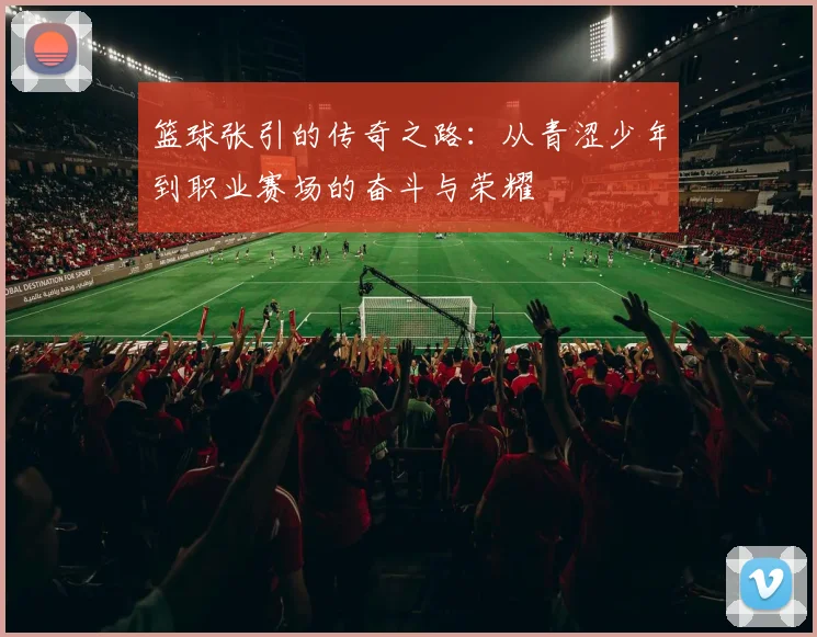 篮球张引的传奇之路：从青涩少年到职业赛场的奋斗与荣耀