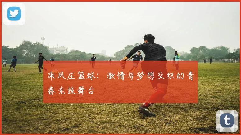 乘风庄篮球：激情与梦想交织的青春竞技舞台