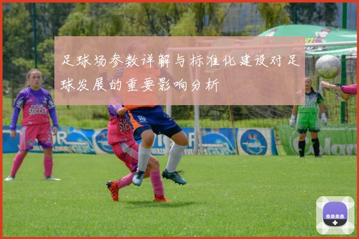 足球场参数详解与标准化建设对足球发展的重要影响分析