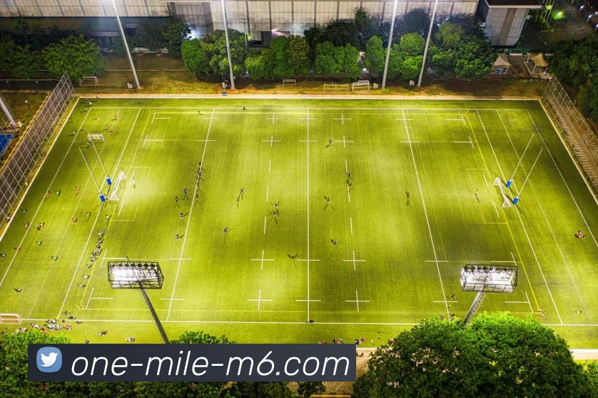 M6MILESPORTS平台生态图